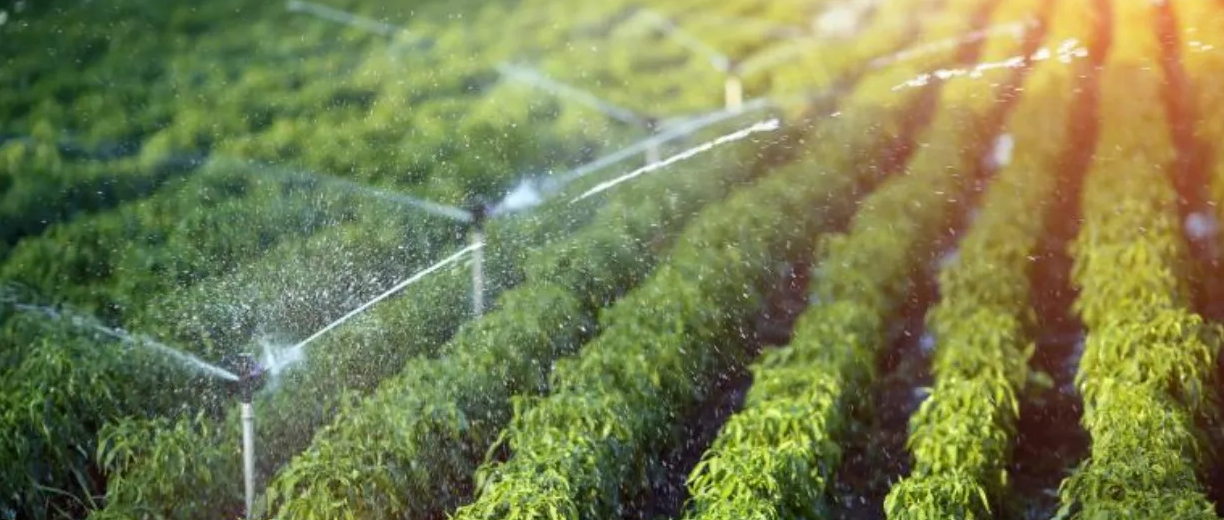 1648087477105975.png 微信截圖_20220324100421.png